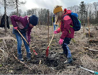 Aufforstungsaktion Marie und Anna 